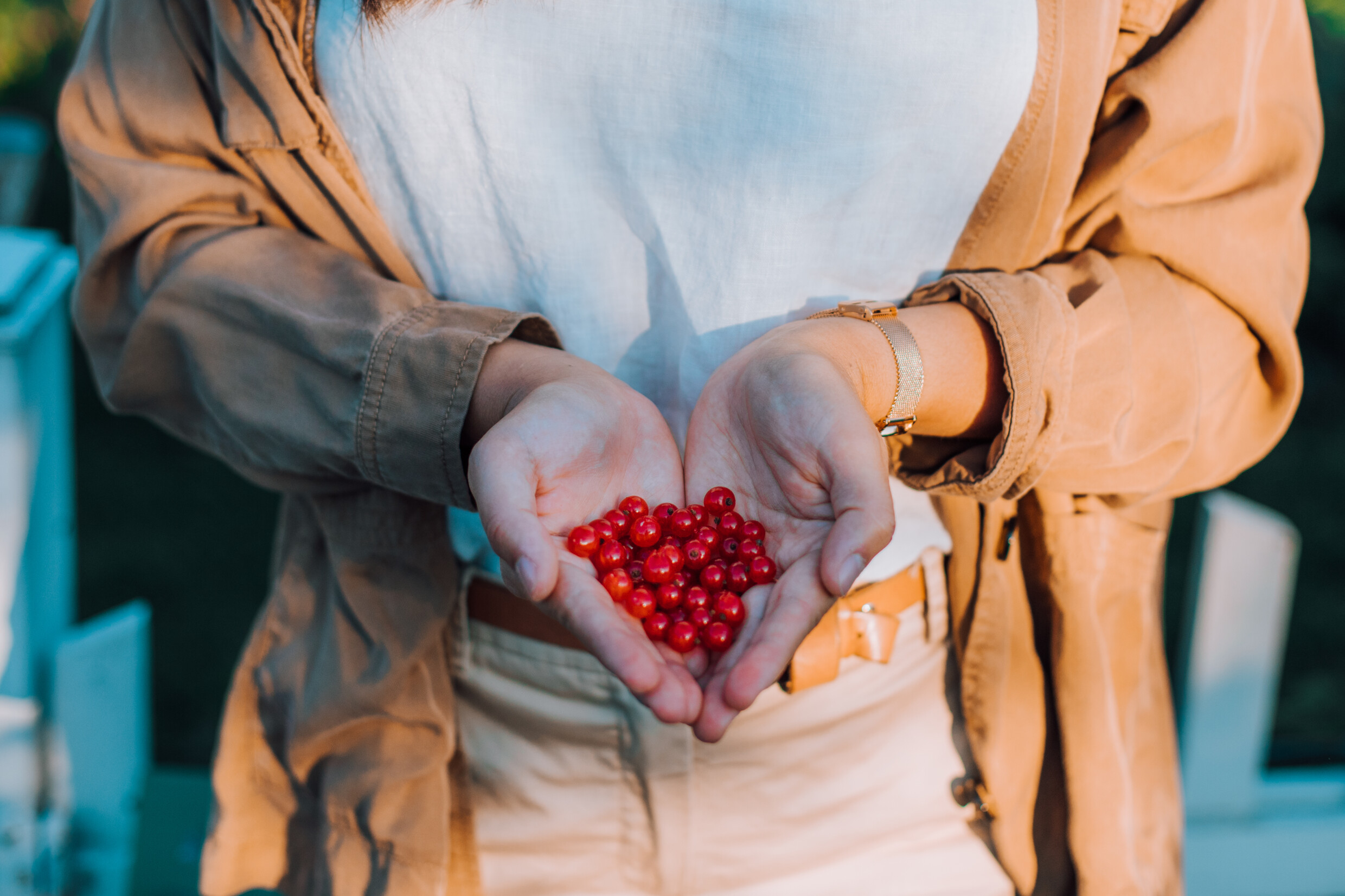 Handful of berries (Visit Helsinki, Julia Kivelä)